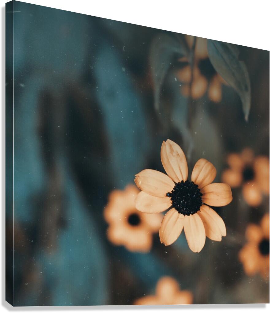 spring Flower Canvas Print