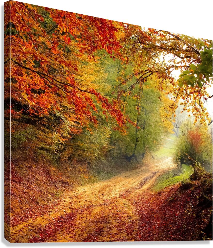 painting Canvas Print