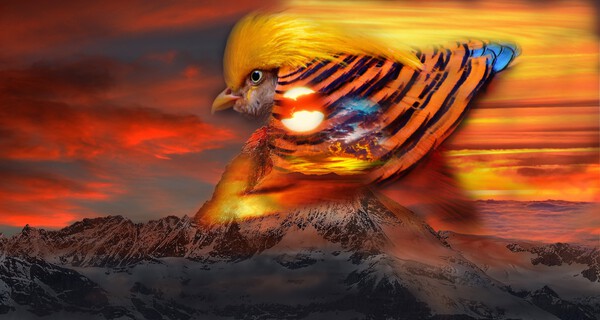 migration  Print