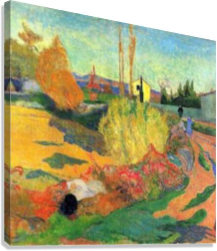 Von Arles Canvas Print