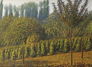 Haystacks