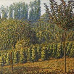 Gustave Cariot 