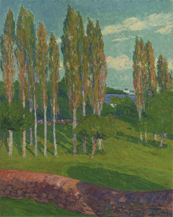 Poplars in Spring Print