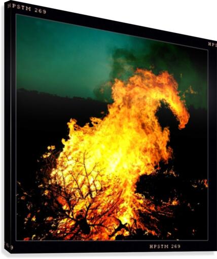 Firedragon Canvas Print