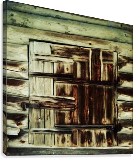 Ancient Door Canvas Print