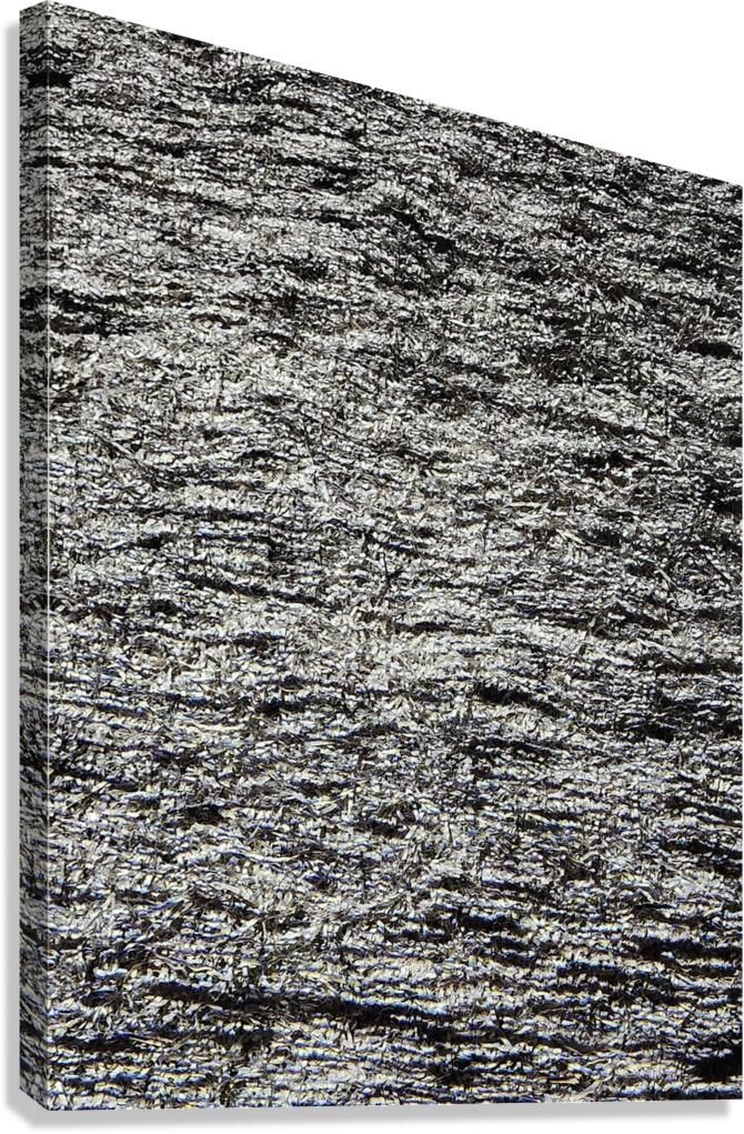 Nothingness Canvas Print