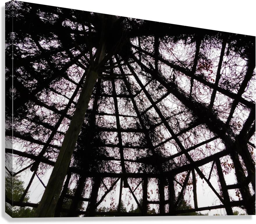  A different Web          Canvas Print