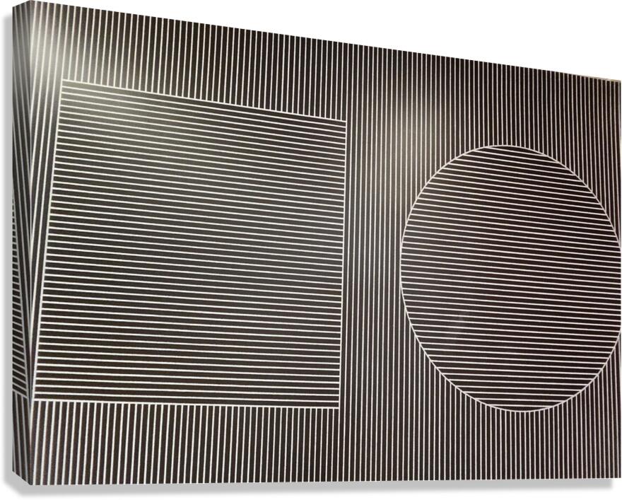 Optical Illusion Canvas Print