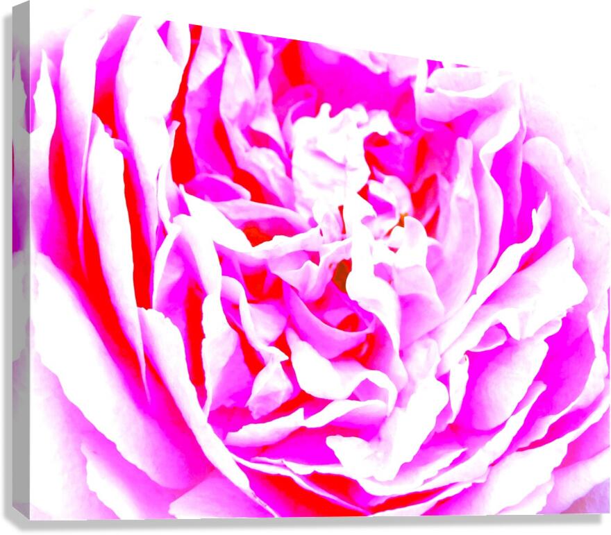 Abstract romance Canvas Print