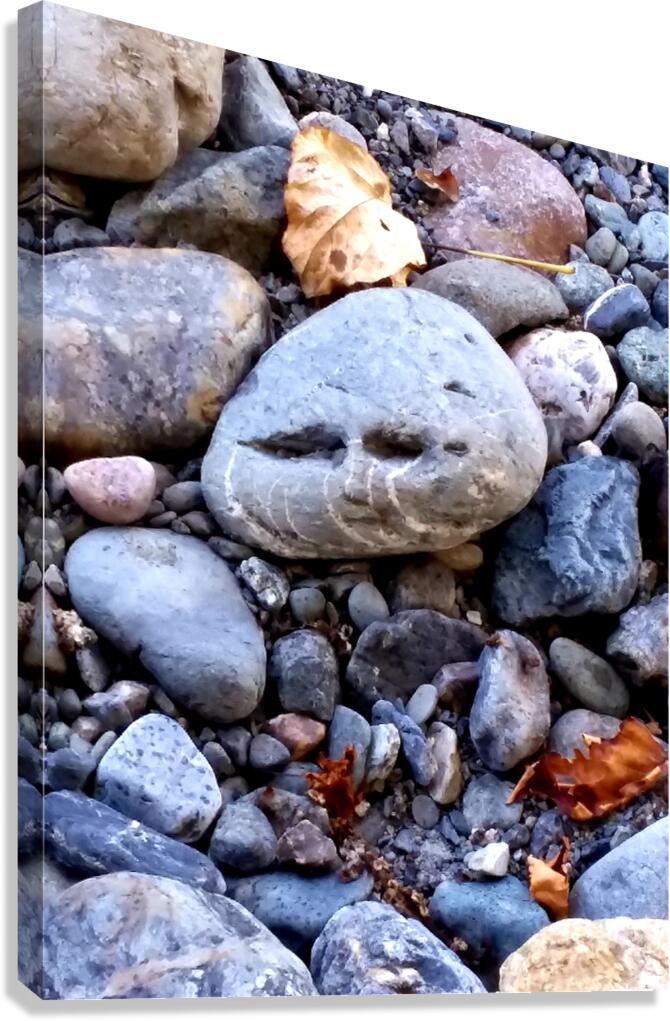 Rocky Canvas Print