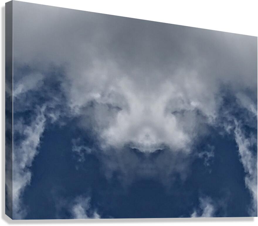Cloud Bison  Canvas Print