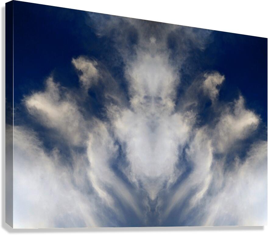Cloud Human-ish 2 Canvas Print