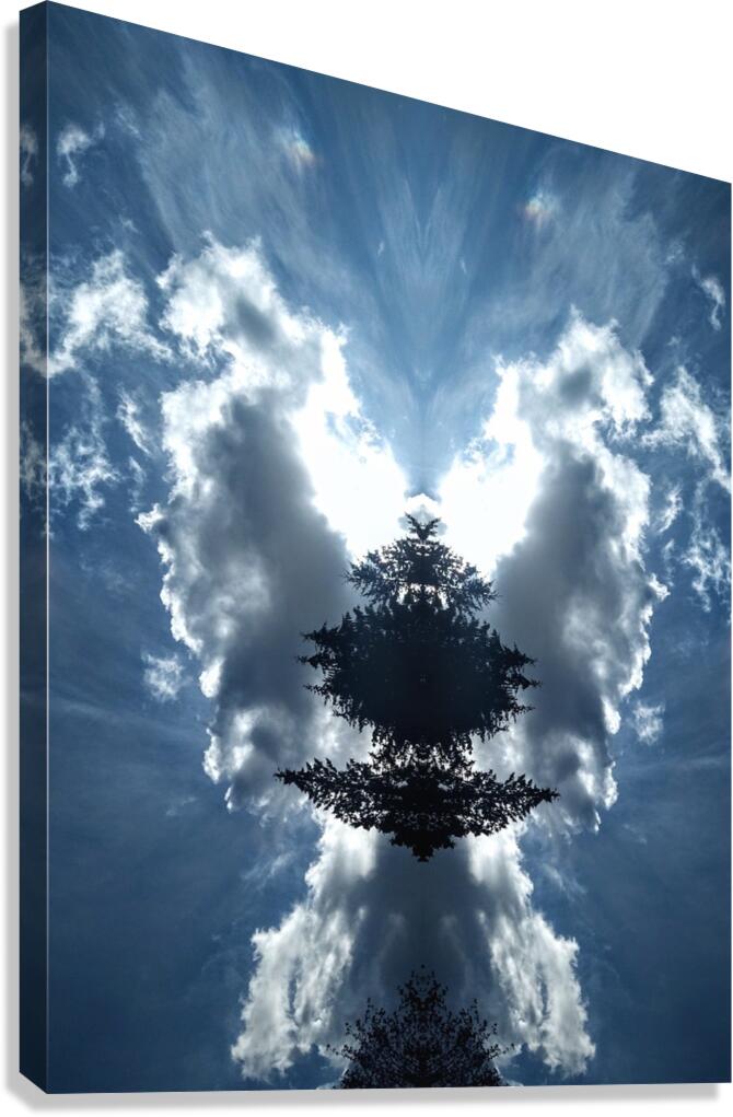 Cloud Vampire Angel Canvas Print
