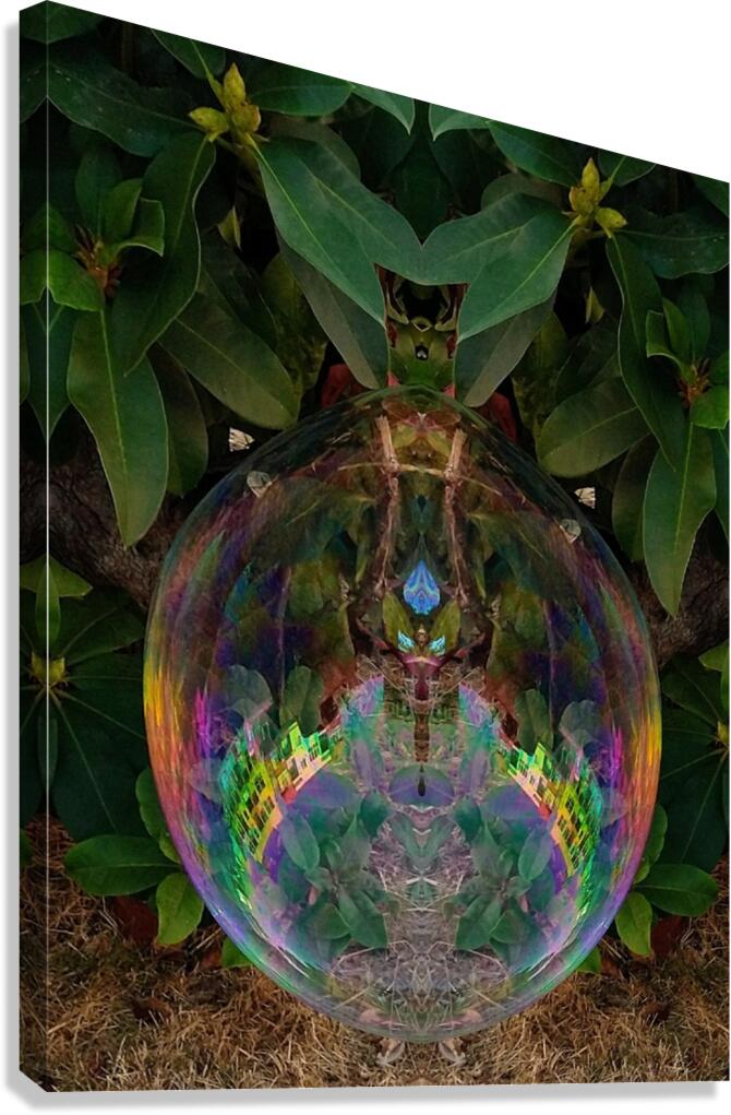 Bubble Reflections 1 Canvas Print
