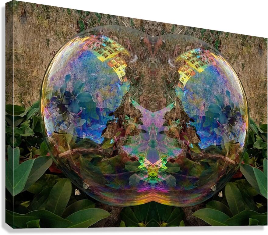 Bubble Reflections 3 Canvas Print