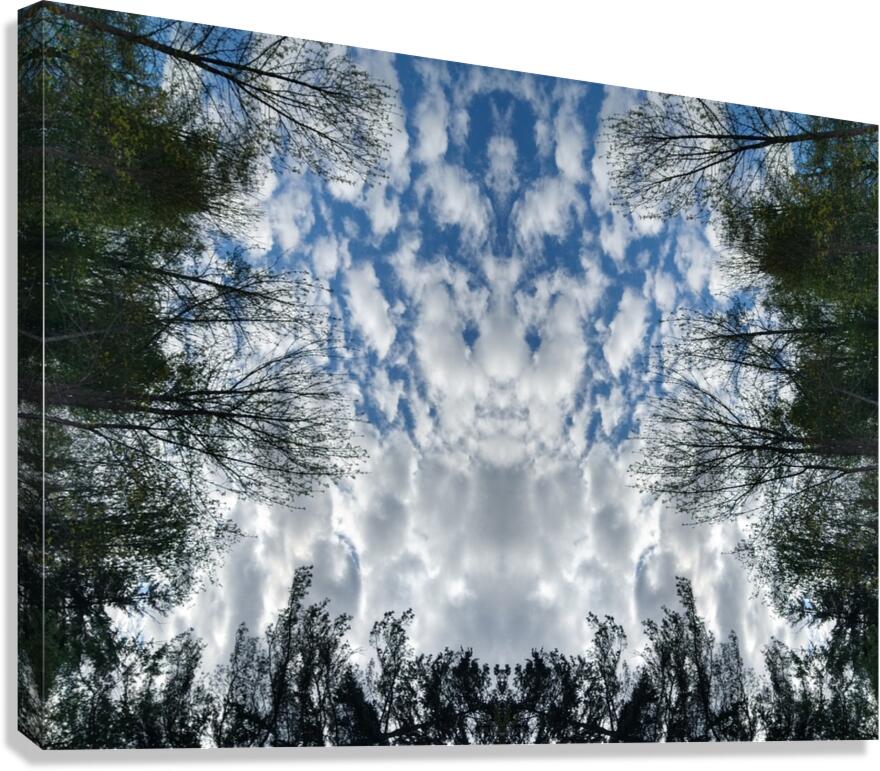 Cloud Totem 4 Canvas Print