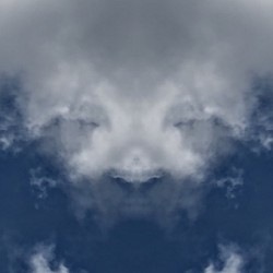 Cloud Bison 