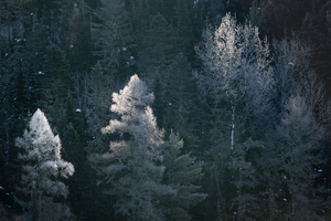 Glimpse