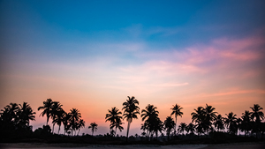 Goa 2