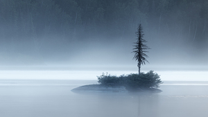 Secluded