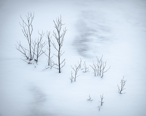Snowplay