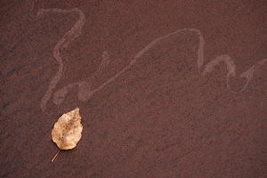 Tide Script