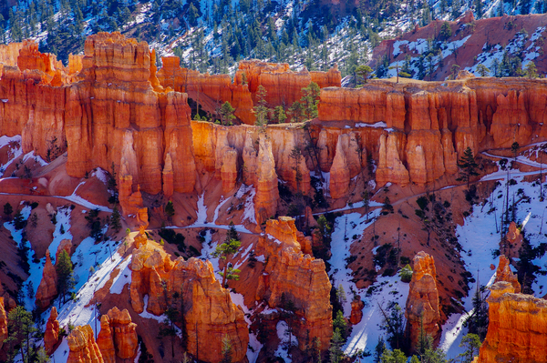 Bryce Print