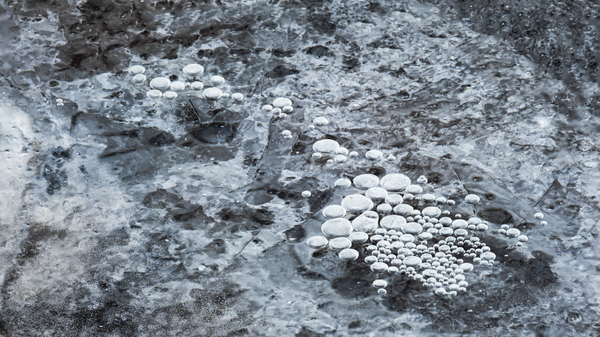 Bubbles Print