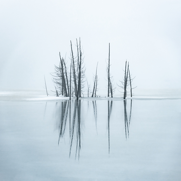 Complementary Print