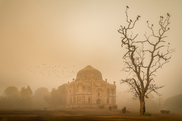 Delhi Print