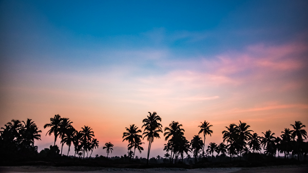 Goa 2 Print
