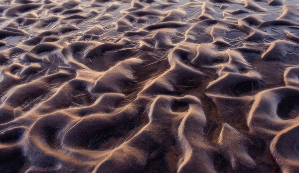 Patterns Print