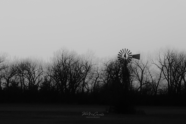 Rural