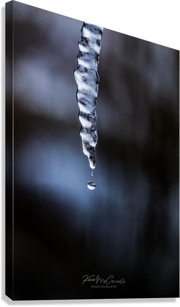 Icicle Canvas Print
