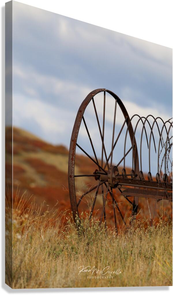 Hay Rake Canvas Print
