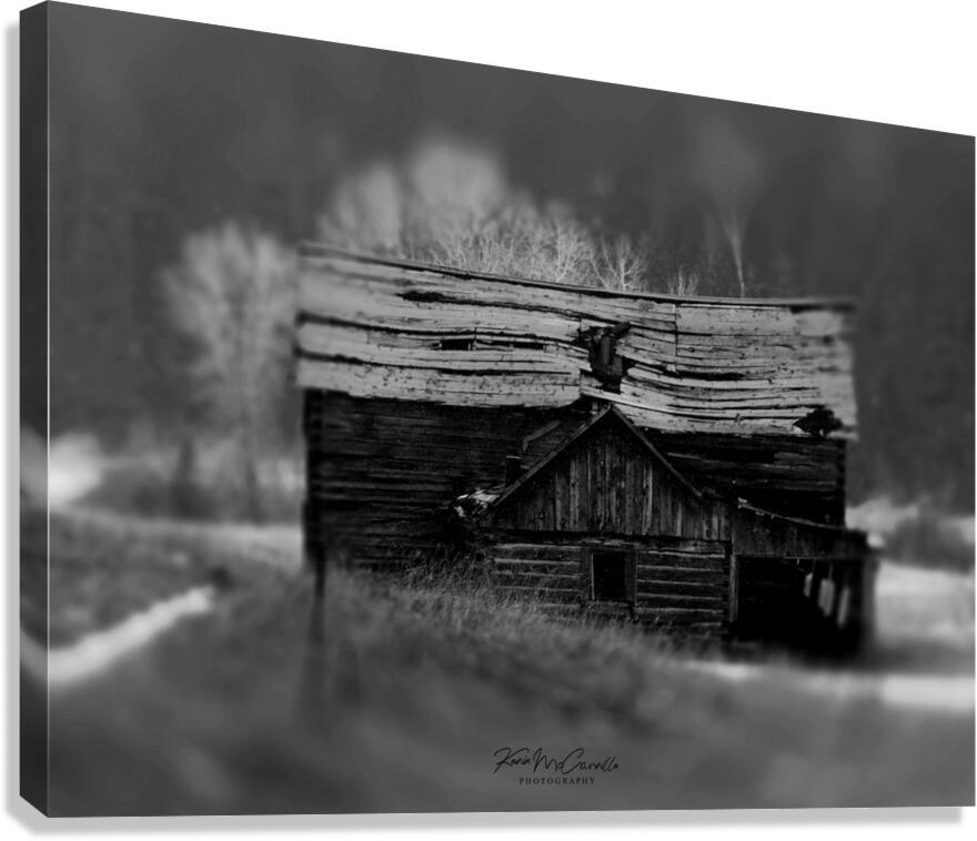 Old House Canvas Print
