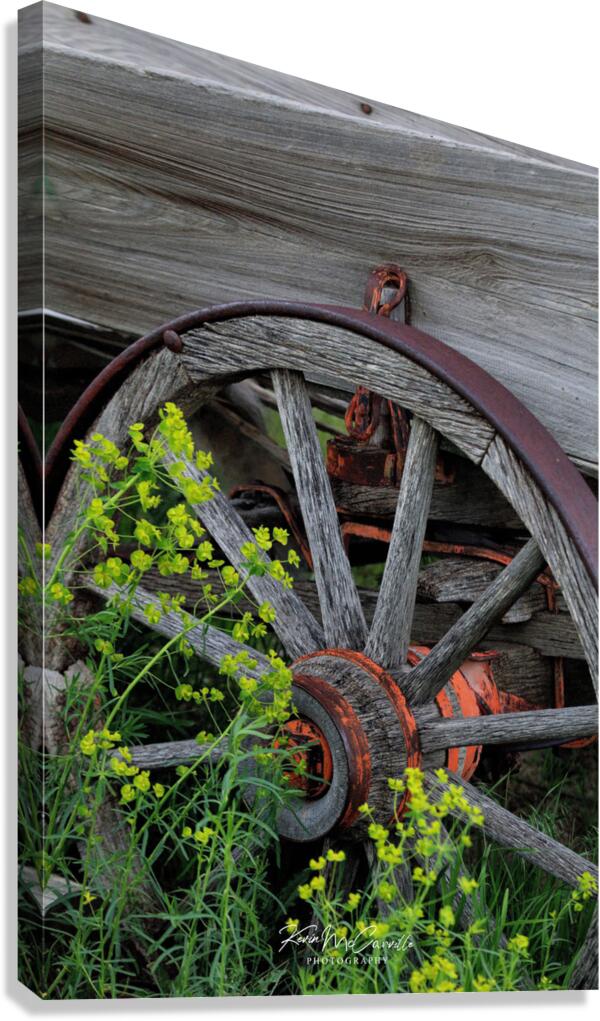 Old Wheel Canvas Print