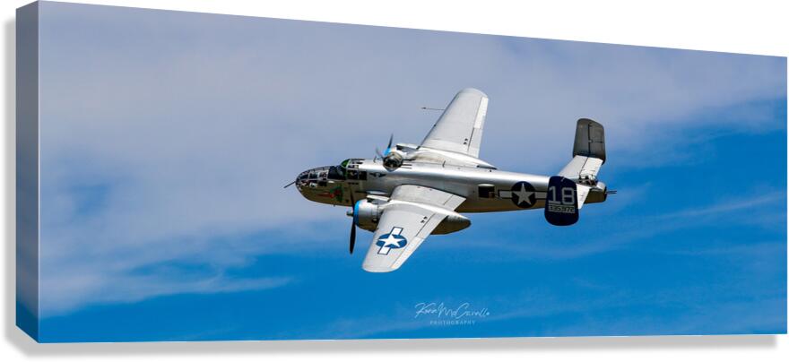 TB-25 Canvas Print