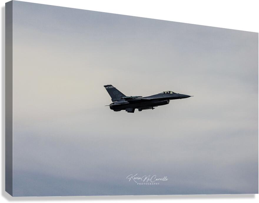 Freedom Canvas Print