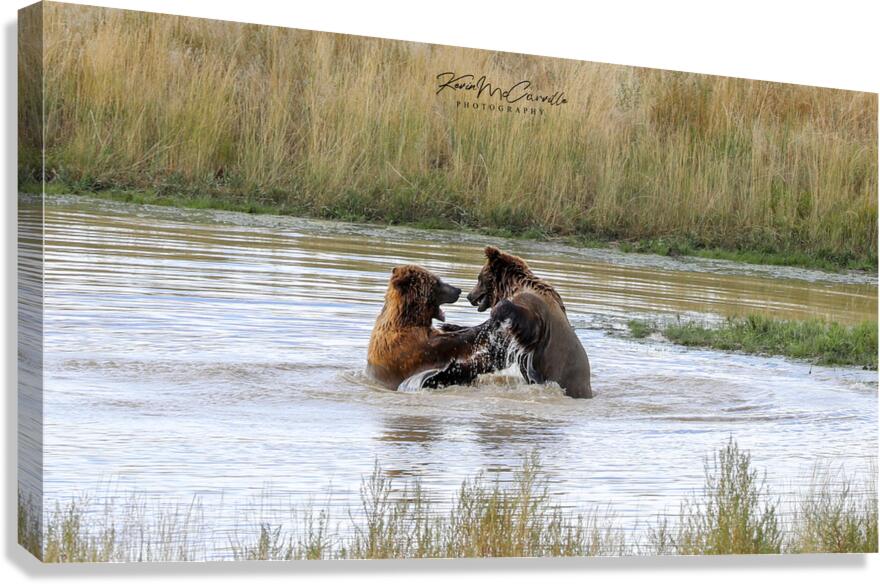 Sibling Rivalry Canvas Print