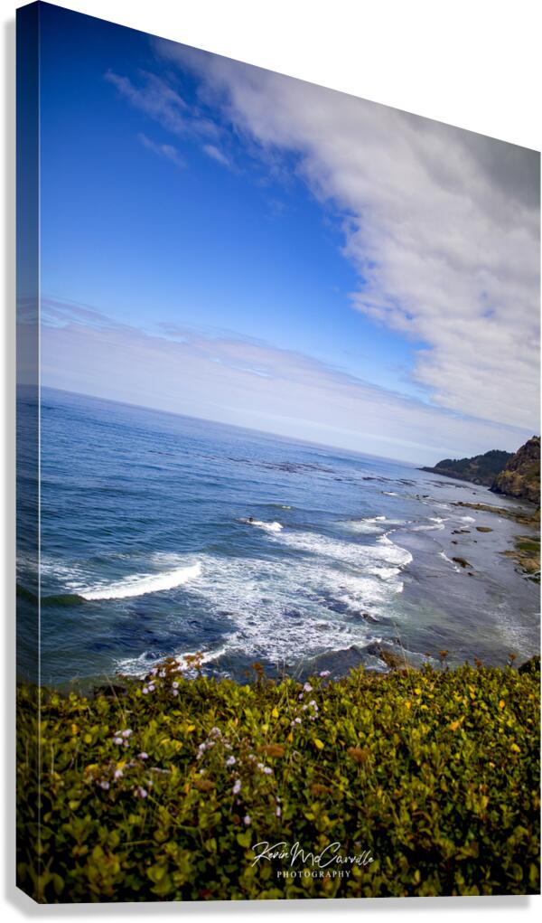 Oregon Coast Canvas Print