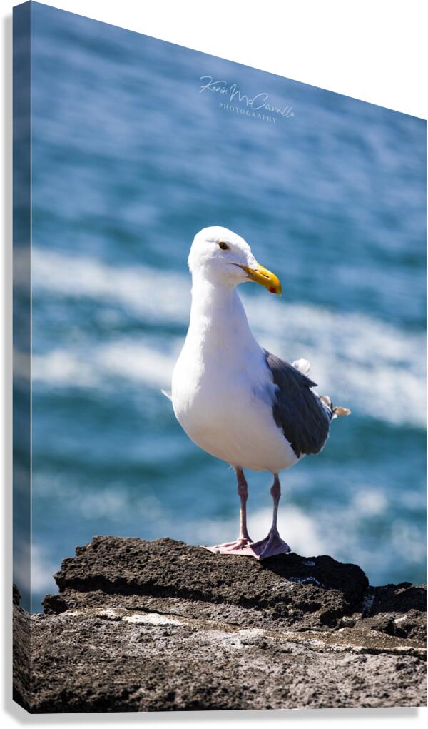 Oregon Native Canvas Print