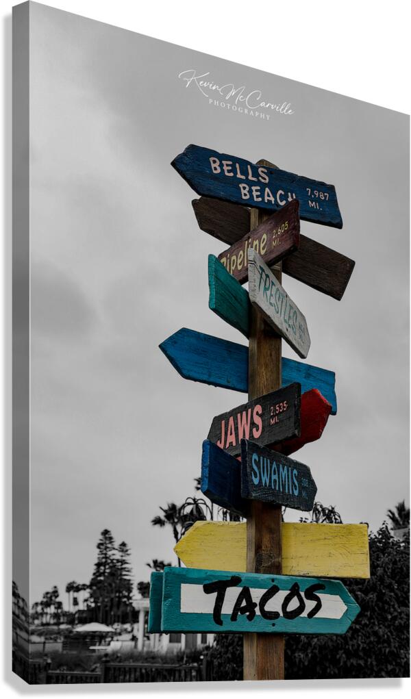 Which Way  Canvas Print