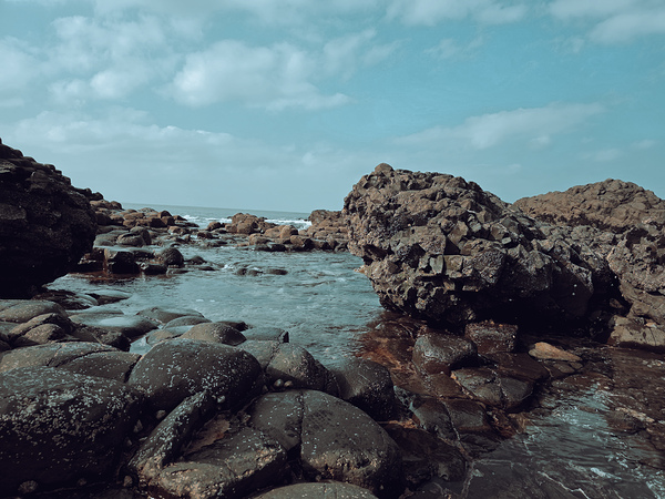 20250318 135514 by Amy Smith