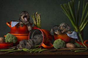 Too late for dinner