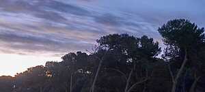 Les Couleurs de l’Automne