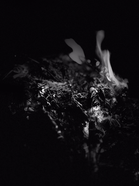 Fire Print