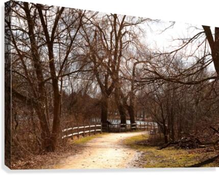 Spring Trail Canvas Print