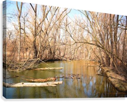 Quiet Canvas Print