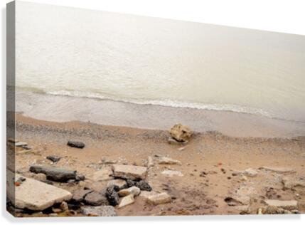Temperate Canvas Print